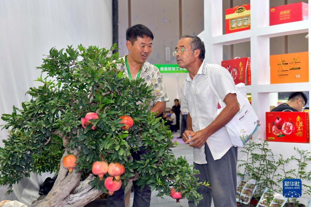 ag有官网吗